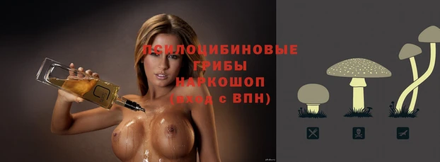 шишки Михайловка