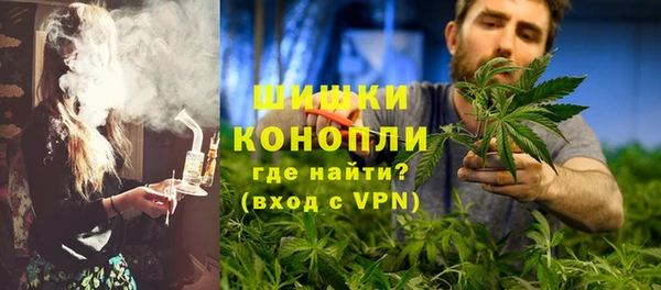 гидра Верхний Тагил