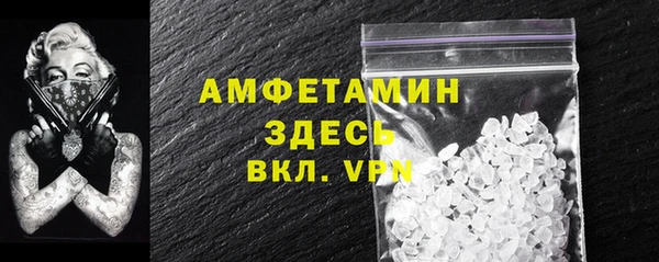 гидра Верхний Тагил