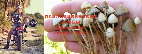 прущая мука Верея