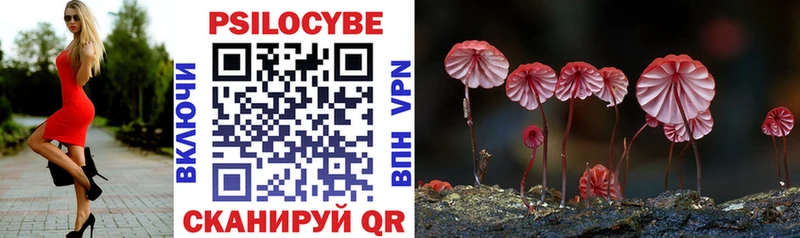 где можно купить   Весьегонск  Псилоцибиновые грибы Psilocybine cubensis 